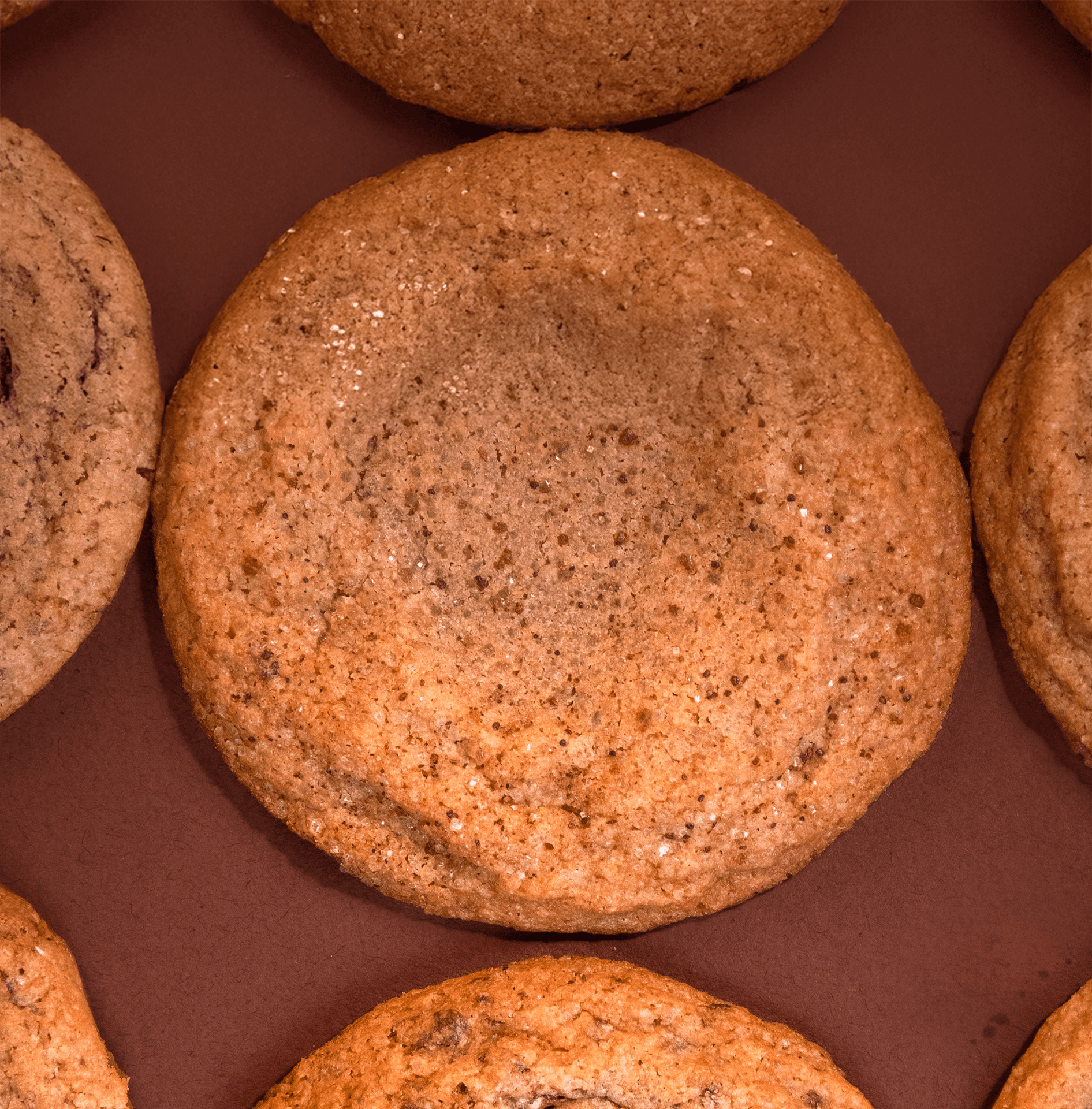 Snickerdoodle Cookie